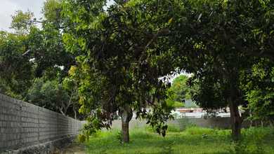 Jual Tanah Terjangkau di Area Sanur Kauh, Denpasar