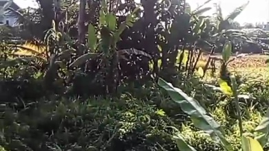 Dijual Tanah Premium di Ubud, Gianyar, LT 1400m²