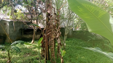 Promo Tanah Harga Ekonomis di Gianyar, Gianyar
