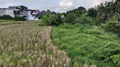 Tanah Harga Hemat di Ubud, Gianyar, Harga 99 Juta