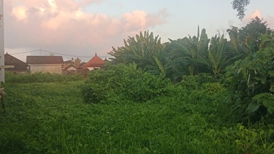Jual Tanah Sederhana di Area Mas, Gianyar