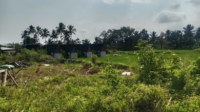Jual Tanah Minimalis di Area Ubud, Gianyar