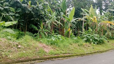 Jual Cepat Tanah Murah di Ubud, Gianyar, LT 500m²