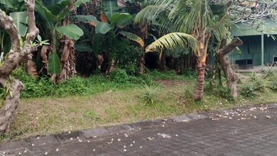 Jual Tanah Sederhana di Area Lebih, Gianyar