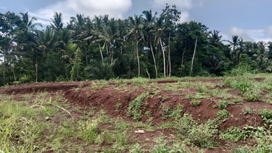 Jual Cepat Tanah Terjangkau di Ubud, Gianyar, LT 200m²