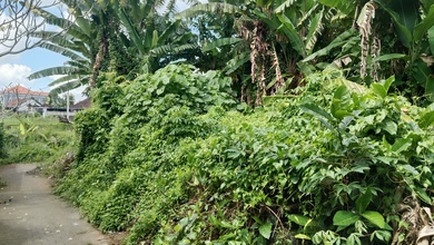 Promo Tanah Harga Ekonomis di Ubud, Gianyar