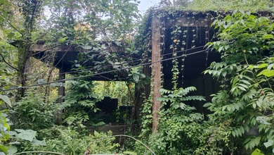Dijual Tanah Eksklusif di Ubud, Gianyar, LT 360m²