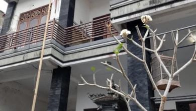Rumah Dijual di Denpasar Utara, Denpasar, LB 160m², Harga Terbaik!