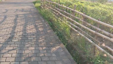 Kesempatan Tanah Murah di Gubug, Tabanan, Luas 350m²