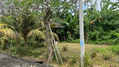 Jual Tanah Sederhana di Area Gianyar, Gianyar