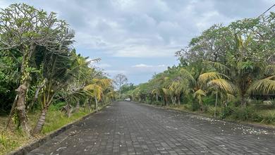 Promo Tanah Harga Ekonomis di Ubud, Gianyar
