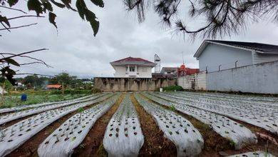 Kavling dengan Harga Terjangkau Daerah Lembang Bandung