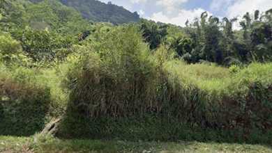 Tanah Elit Dijual di Buleleng, Buleleng, Harga 17,2 Miliar