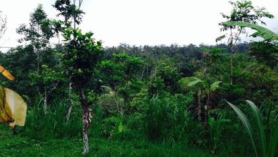 Dijual Tanah Premium di Ubud, Gianyar, LT 5600m²