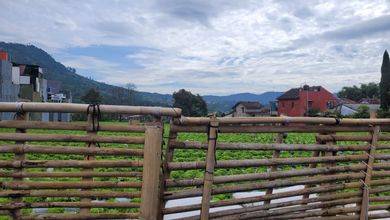 Dijual Kavling 4325 m2 Lokasi Komplek Mewah Lembang
