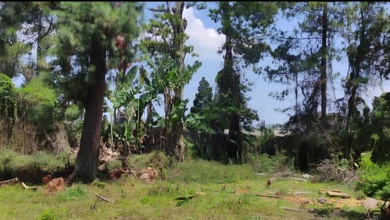 Disewakan Tanah Terjangkau di Lembang, Bandung, LT 3124m²