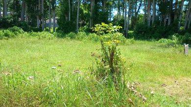 Dijual Kavling 560 m2 Area Cluster Mewah Ungasan