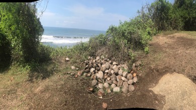 For Sale Tanah Premium di Lalanglinggah, Tabanan, LT 29800m²