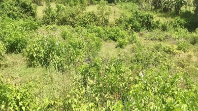 Tanah Elit Dijual di Nusa Dua, Badung, Harga 1,47 Triliun