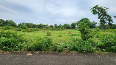 For Sale Tanah Premium di Balangan, Badung, LT 1400m²