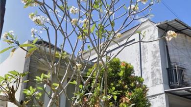 Promo Rumah di Nusa Dua, Badung, LB 60m², Harga 1,1 Miliar