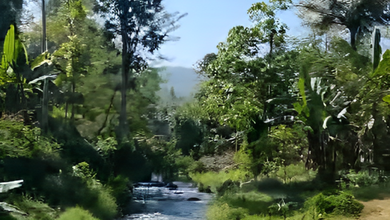 Kavling Prestisius Dijual di Ciwidey, Bandung, Harga 3,68 Miliar