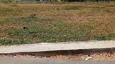 Jual Terjangkau Tanah 9657 m2 Area Strategis