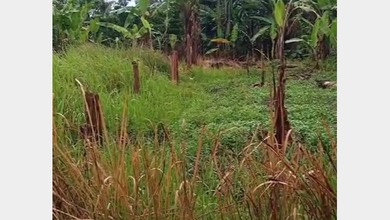 For Sale Tanah Premium di Batujajar, Bandung Barat, LT 20000m²