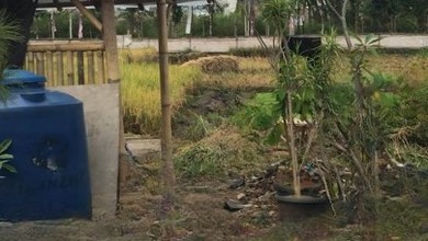 For Sale Tanah Premium di Padalarang, Bandung Barat, LT 3339m²