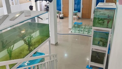 Kostan Terpisah Putra dan Putri di Jatinangor