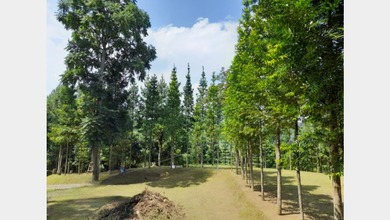 For Sale Tanah Premium di Lembang, Bandung, LT 5570m²