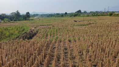 Kavling Prestisius Dijual di Bandung Barat, Bandung, Harga 75 Miliar