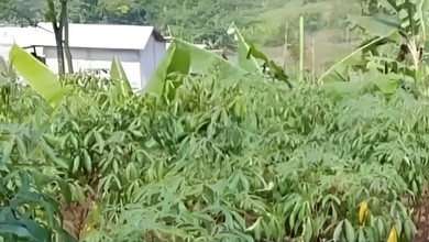 Tanah Siap Bangun Area Komplek Bandung Barat Bandung