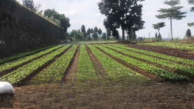 For Sale Tanah Eksklusif di Parongpong, Bandung Barat, LT 6000m²