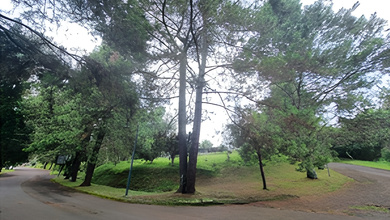 Kavling Prestisius Dijual di Bandung Utara, Bandung, Harga 19,4 Triliun