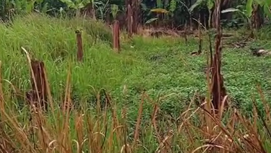 Tanah Elit Dijual di Batujajar, Bandung, Harga 24 Miliar