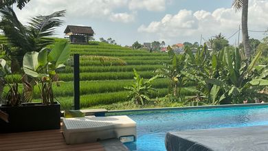 Luxury Vila Complex 3 Bedroom With Rice Field View At Canggu