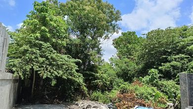 Promo Tanah Harga Ekonomis di Canggu, Badung