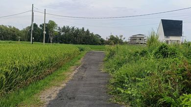 Jual Cepat Tanah Terjangkau di Kedungu, Tabanan, LT 250m²
