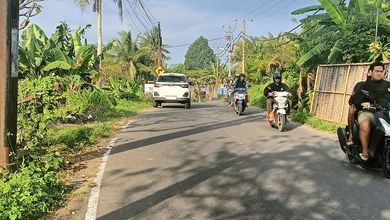 Segera Miliki Tanah Harga Ekonomis di Keramas, Gianyar