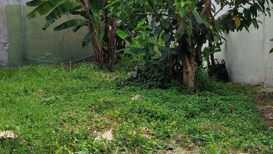 Kavling Prestisius Dijual di Mekar Wangi, Bandung, Harga 3,3 Miliar