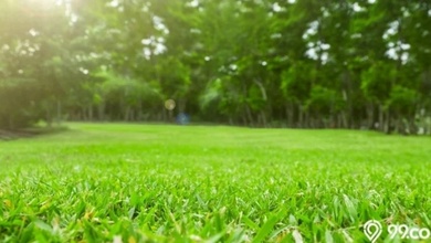 Jual Cepat Tanah Strategis di Setra Duta, Bandung, LT 167m²