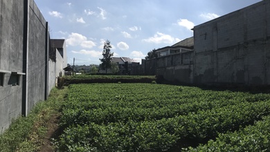 Tanah Elit Dijual di Setiabudi, Bandung, Harga 954 Miliar