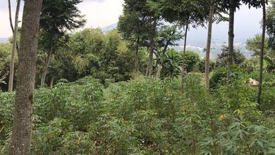 Kavling Prestisius Dijual di Tanjungsari, Sumedang, Harga 3,71 Triliun