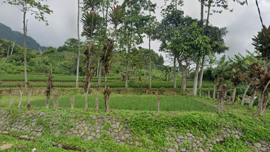 Jual Cepat Tanah Prospektif di Sukamakmur, Bogor, LT 3460m²