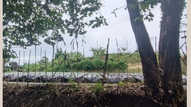 Tanah Elit Dijual di Setiabudi, Bandung, Harga 18,5 Miliar