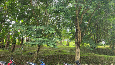 Tanah Elit Dijual di Resor Dago Pakar, Bandung, Harga 3,8 Triliun