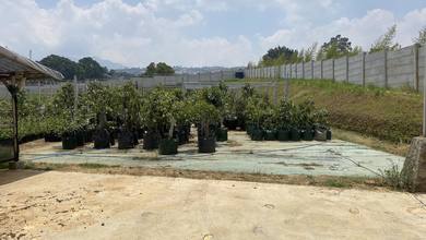 Kavling Prestisius Dijual di Cihanjuang, Bandung, Harga 8,92 Miliar