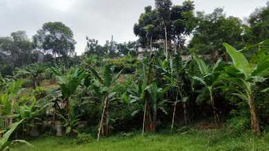 Jual Tanah Lokasi Komplek Cihanjuang View Danau dan Taman