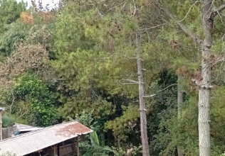 Tanah Elit Dijual di Dago, Bandung, Harga 8,85 Miliar